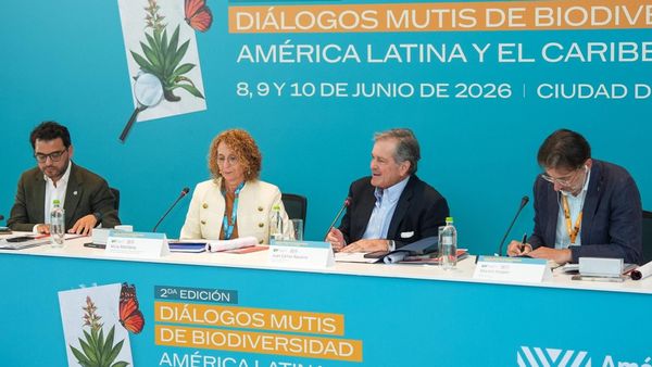 Panamá acogerá Diálogos Mutis sobre biodiversidad en 2026