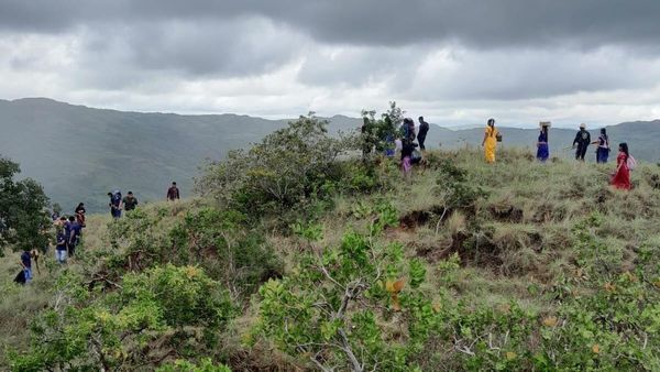 Cuenca del Tabasará planifica reforestación y educación