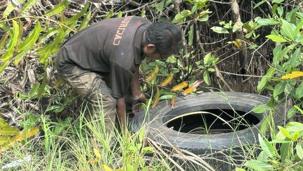 MiAMBIENTE Colón retira 35 llantas cerca de Isla Galeta