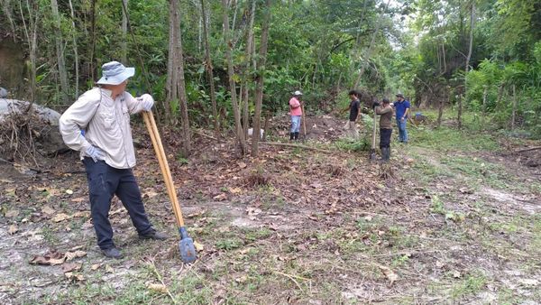 Reforestación en Pacora busca recuperar microcuenca