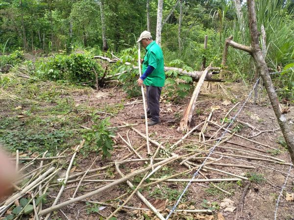 Comunidades de Panamá Oeste en taller de acción climática