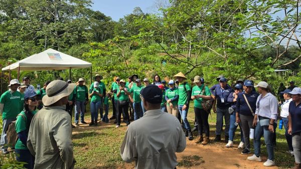 MiAMBIENTE y ENSA plantan 600 árboles en Utivé, Pacora