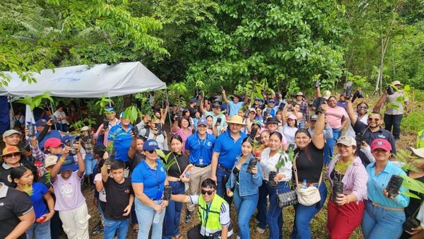 Reforestan 400 plantones en comunidad Emberá Purú