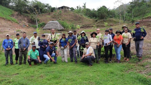 MiAMBIENTE reforesta Cirí Grande en Capira