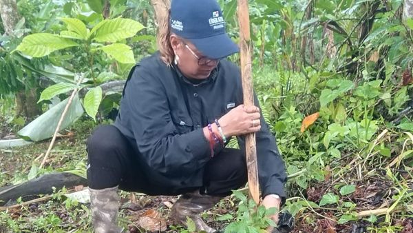 MiAMBIENTE reforesta Bosque Palo Seco con especies nativas