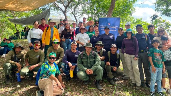 Los Santos reforesta Azuero con 1,500 árboles