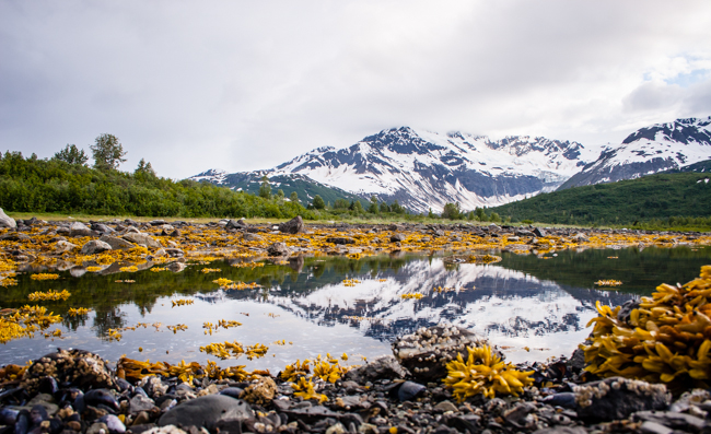 our first alaska adventure