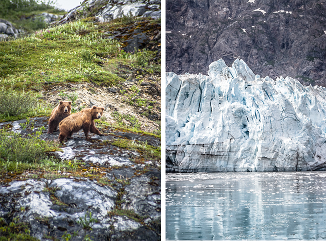 glacier bay alaska