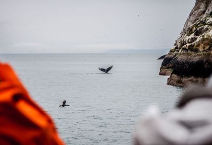 Planning the Great Alaska Road Trip by RV