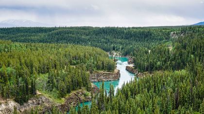 The Surprisingly Hip Whitehorse & Uneventful Klondike