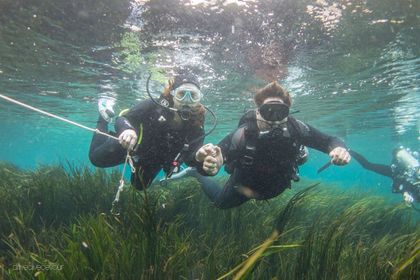 Drive, Dive, Devour – Make Money and Travel