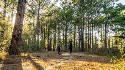 Full Time Sailing – Thoughts, Expectations & Uncertainties