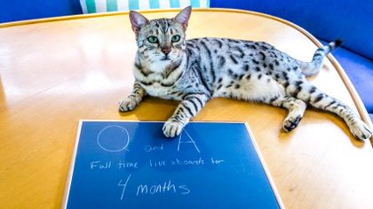 4 Months as Live Aboard Sailors – Q&A