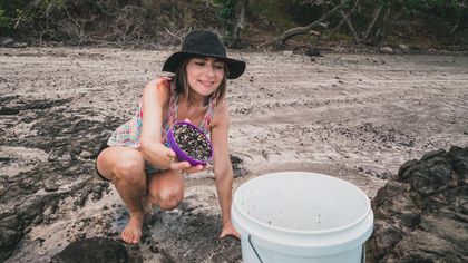 Cat Litter Conundrum & The Beach Sand Experiment