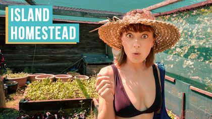 Off-Grid Island Homestead Feeds 16 people A Day