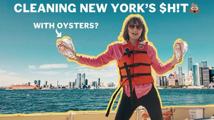 Cleaning Up New York’S Toxic Waterways