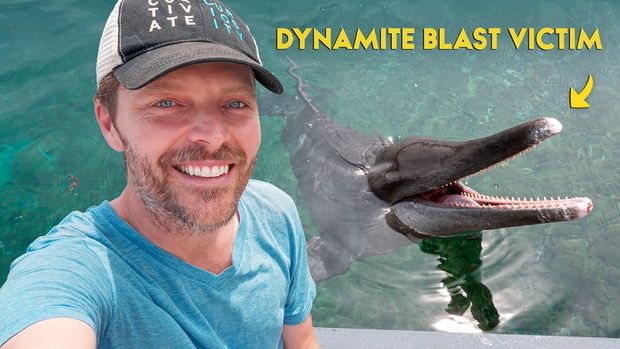 RESCUING WILD ANIMALS IN THE PHILIPPINES