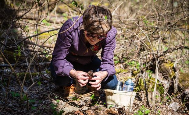 Asheville Adventures – Float, Fly and Forage