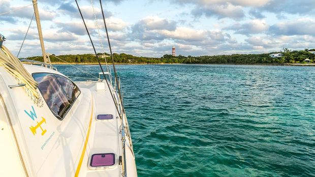 Q&A – Zombie Apocalypse, Gulf Stream & Traveling Cats