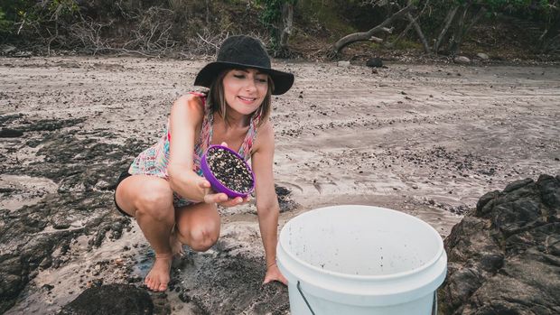 Cat Litter Conundrum & The Beach Sand Experiment