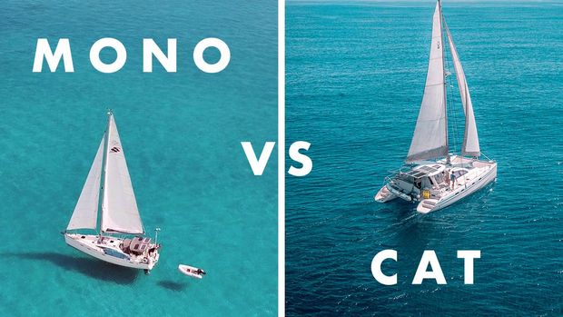 Cat vs Mono – Price & Performance