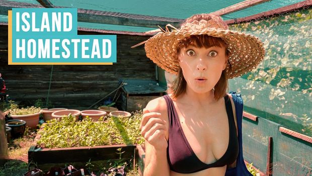 Off-Grid Island Homestead Feeds 16 people A Day