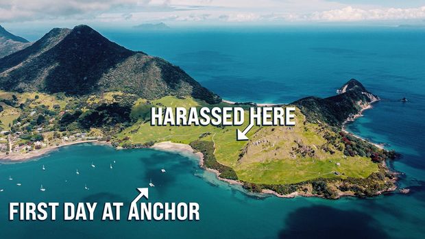 First Day At Anchor & Harassed By Bullies 🐂