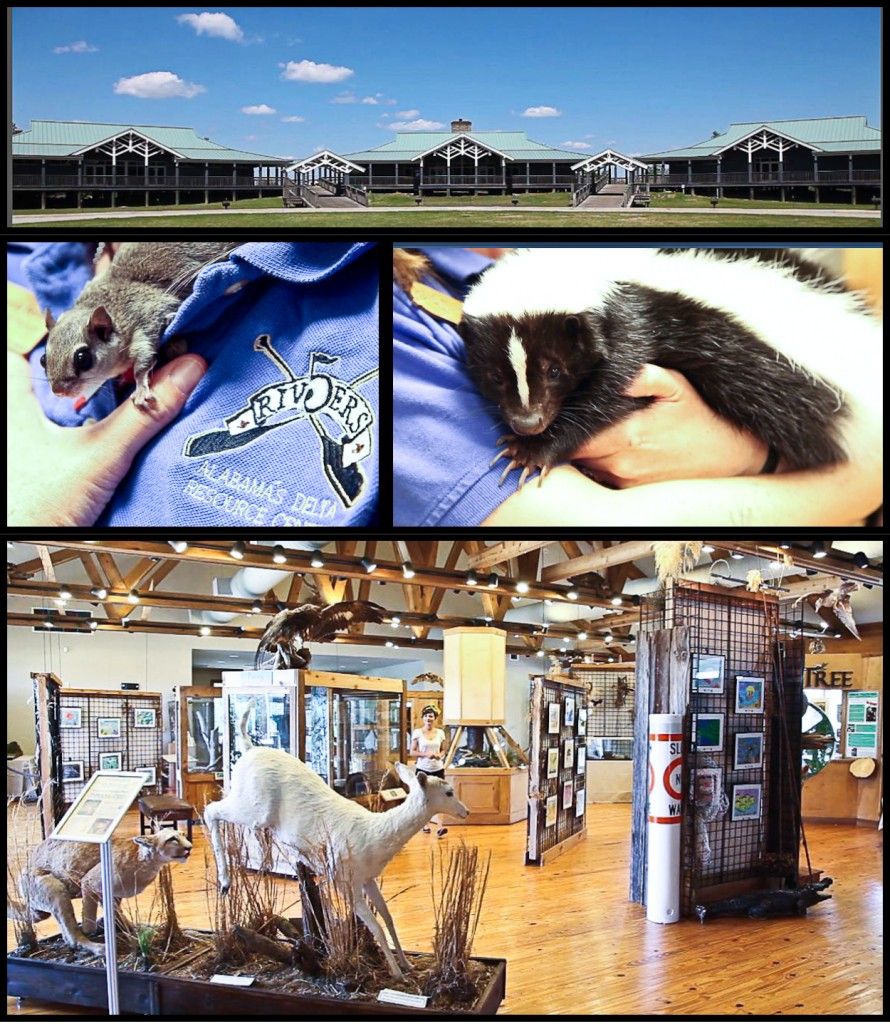 5 rivers delta resource center