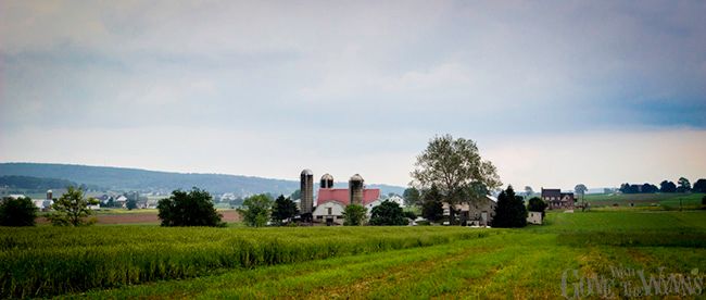 amish farm land
