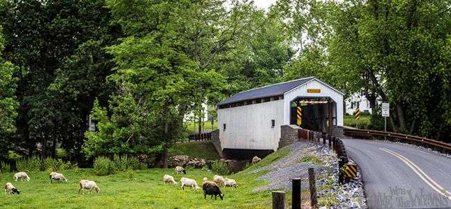 covered bridge