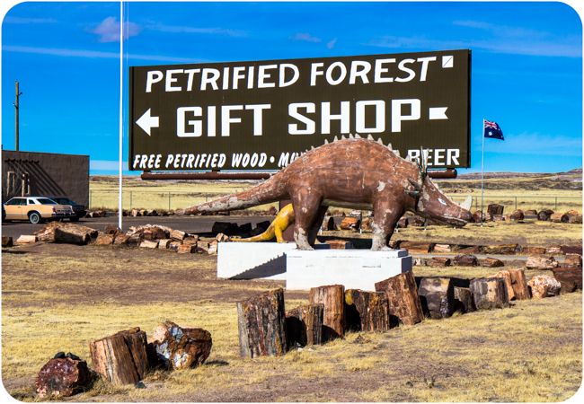 gift shop