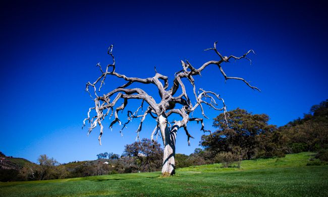 cross creek golf course