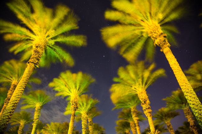 palm springs