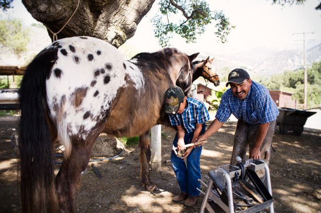 shoeing with son