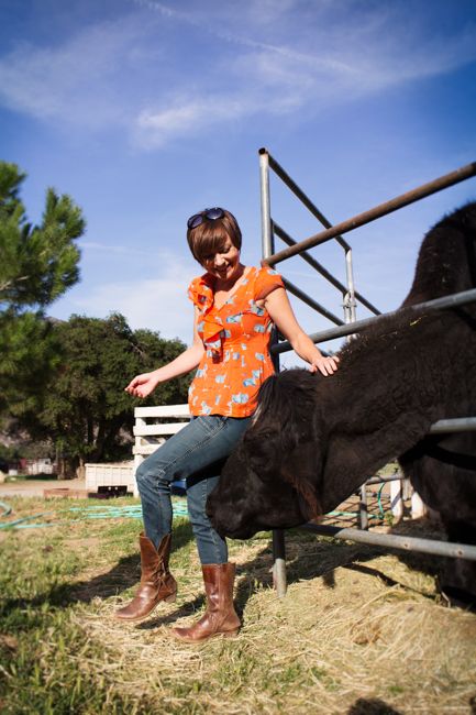 sweet bull