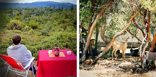 lake of the springs campground