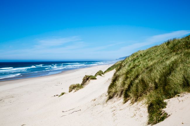 adventure in florence oregon