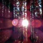 hiking in florence oregon