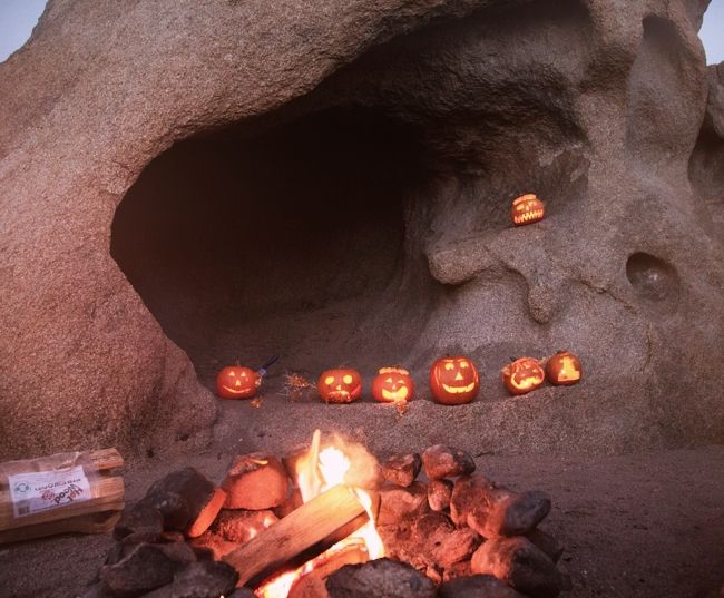 pumpkins