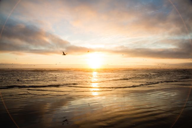 sunset ocean shores