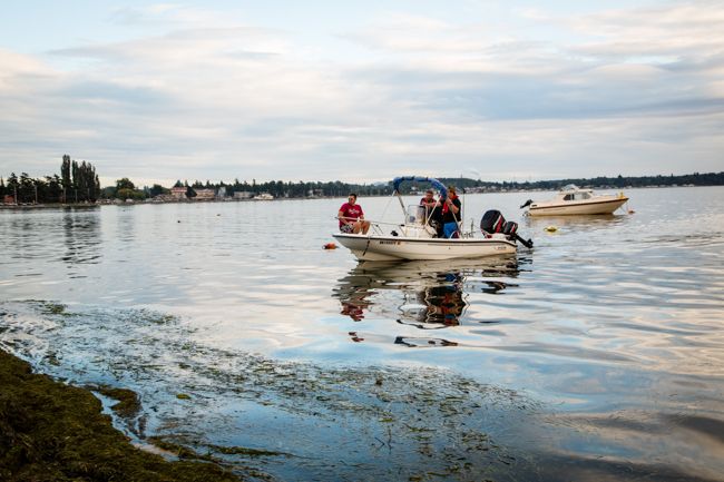 crabbing in washington