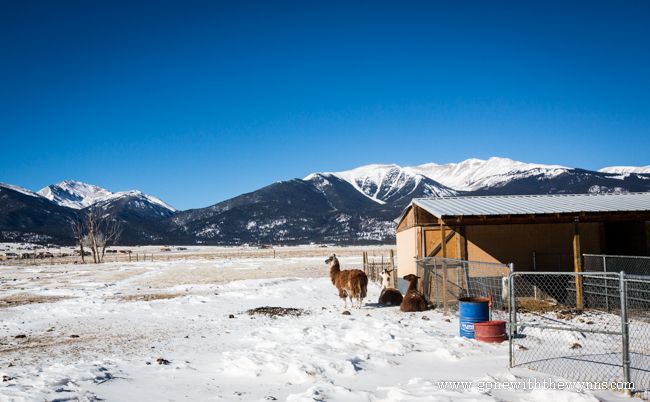 free camping colorado