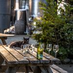 jessies grove winery