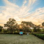 jessies grove winery