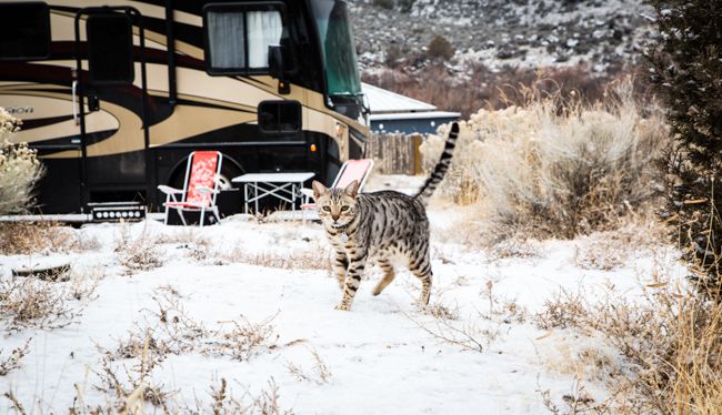 cheap BLM campground taos new mexico