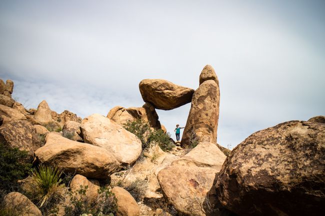 big bend national park