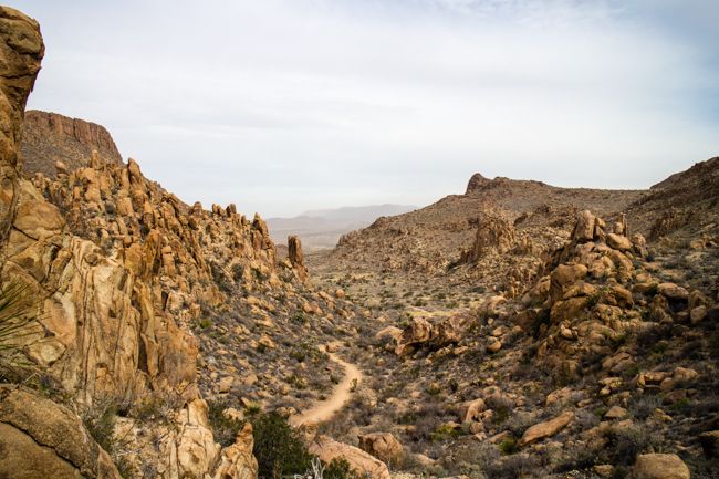 big bend national park