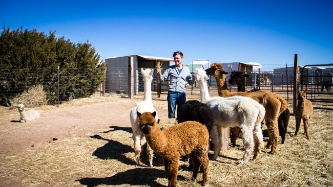 free farm stay