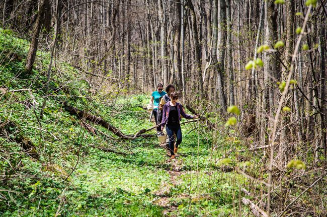 wild food adventures