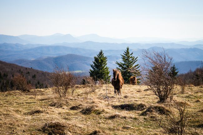 grayson highlands state park